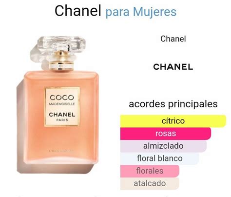 coco noir chanel notas olfativas|coco de chanel para mujer.